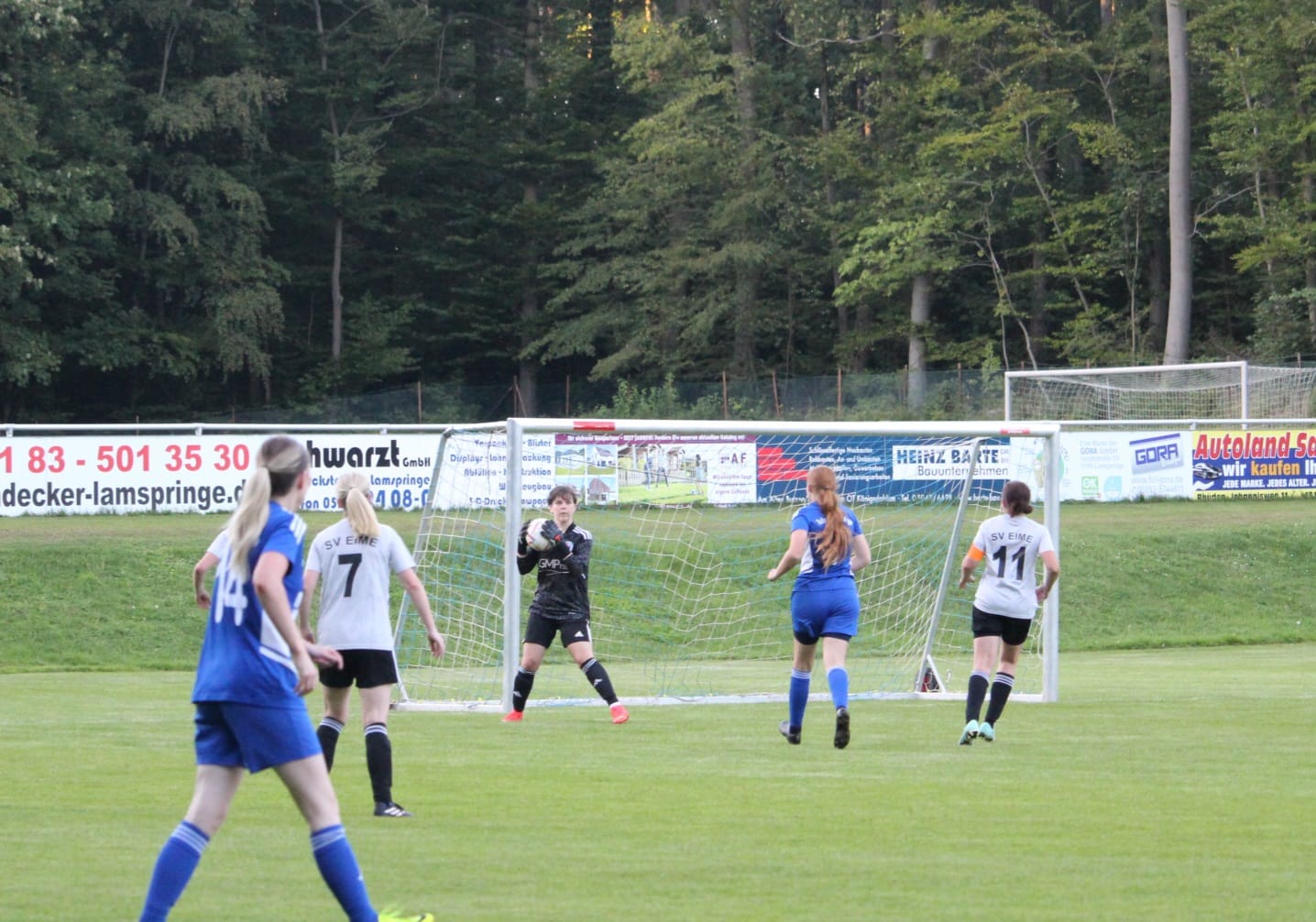 Titelbild SVE vs